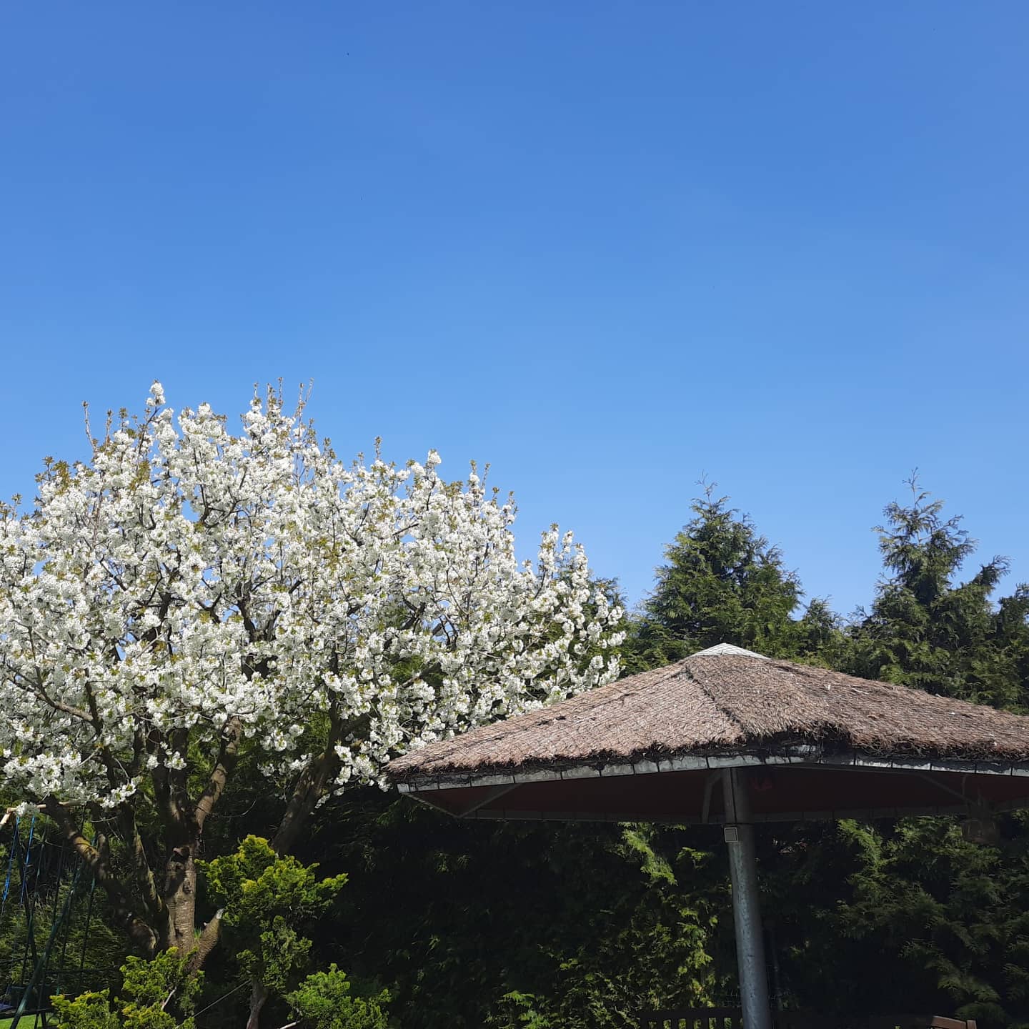 B&B Casa Roman - Tuin & Zwembad
